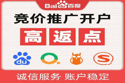 竞价广告的创意与执行：某快消品的营销突破